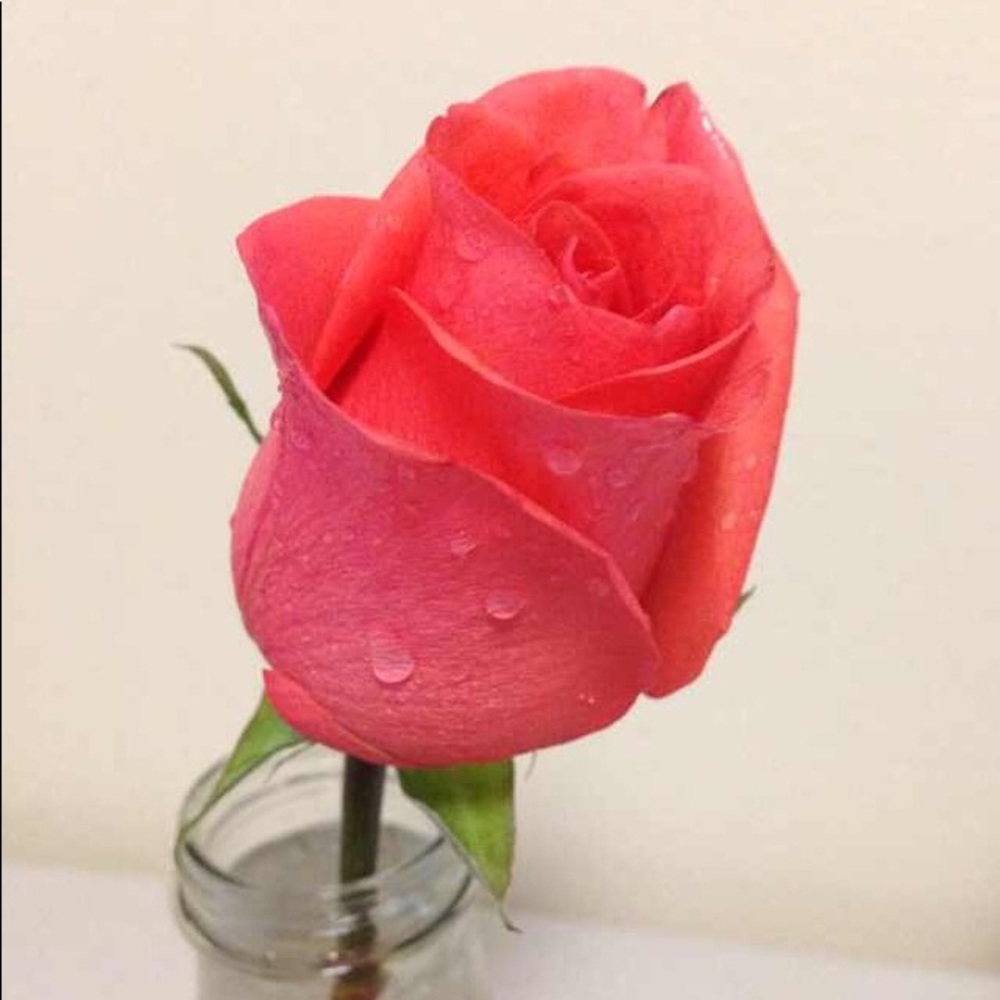 Meet your Posher, Helen